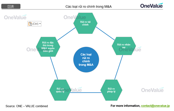 Các loại rủi ro chính trong M&A